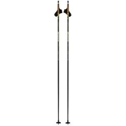 Swix Dynamic D3 Pole