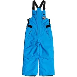 QUIKSILVER BOOGIE KIDS PT CLOISONNE 20